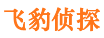 番禺外遇出轨调查取证